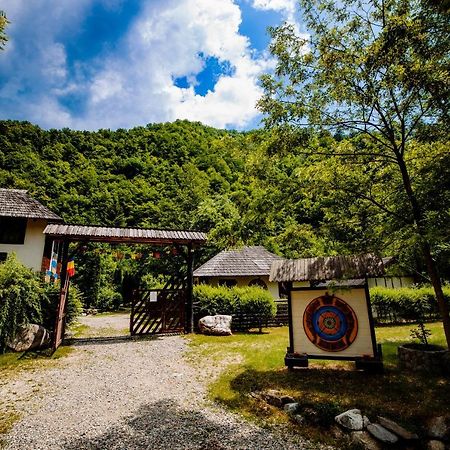 Fratii Jderi - Utopia Verde Brezoi Exterior foto