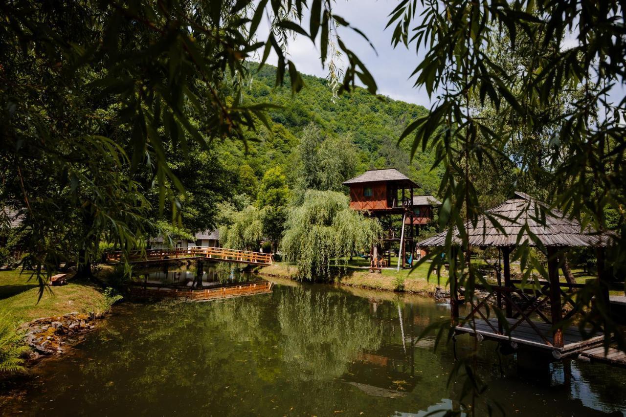 Fratii Jderi - Utopia Verde Brezoi Exterior foto