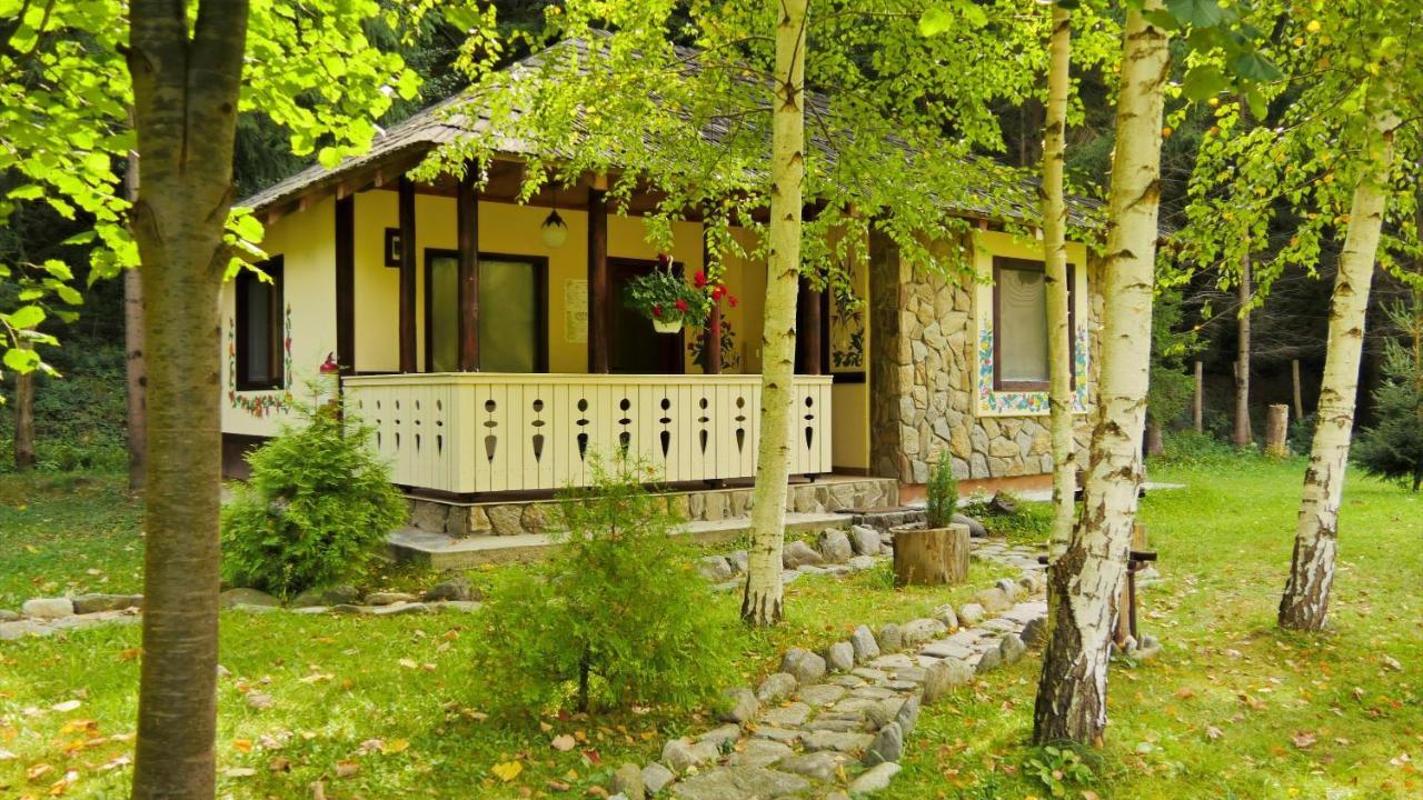 Fratii Jderi - Utopia Verde Brezoi Exterior foto