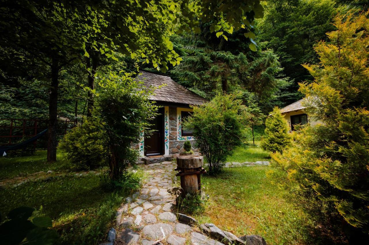 Fratii Jderi - Utopia Verde Brezoi Exterior foto