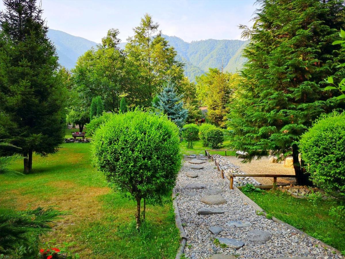 Fratii Jderi - Utopia Verde Brezoi Exterior foto