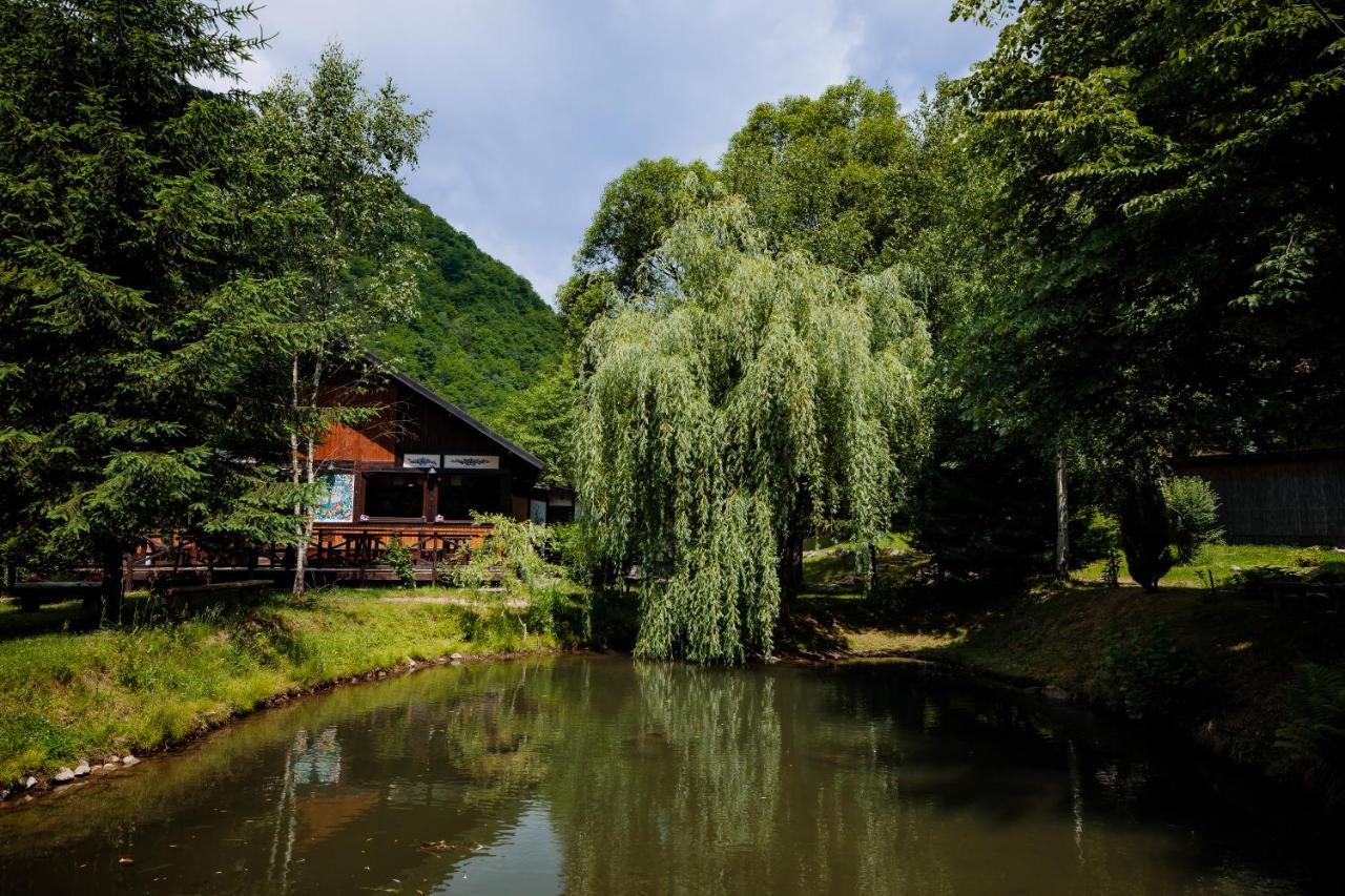 Fratii Jderi - Utopia Verde Brezoi Exterior foto